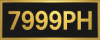 logo 7999PH
